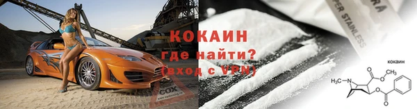 сатива Бородино