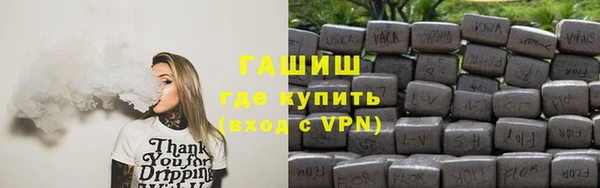 сатива Бородино
