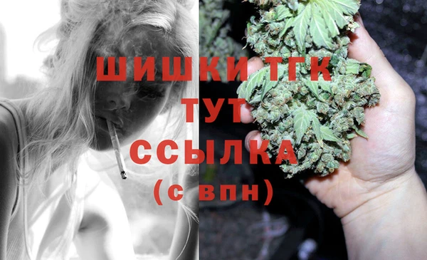 сатива Бородино