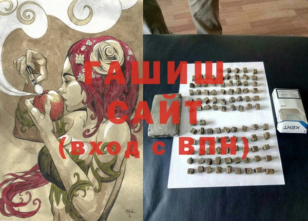 сатива Бородино