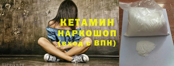 сатива Бородино