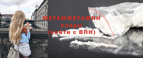 сатива Бородино