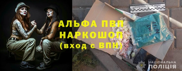 сатива Бородино