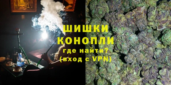 сатива Бородино